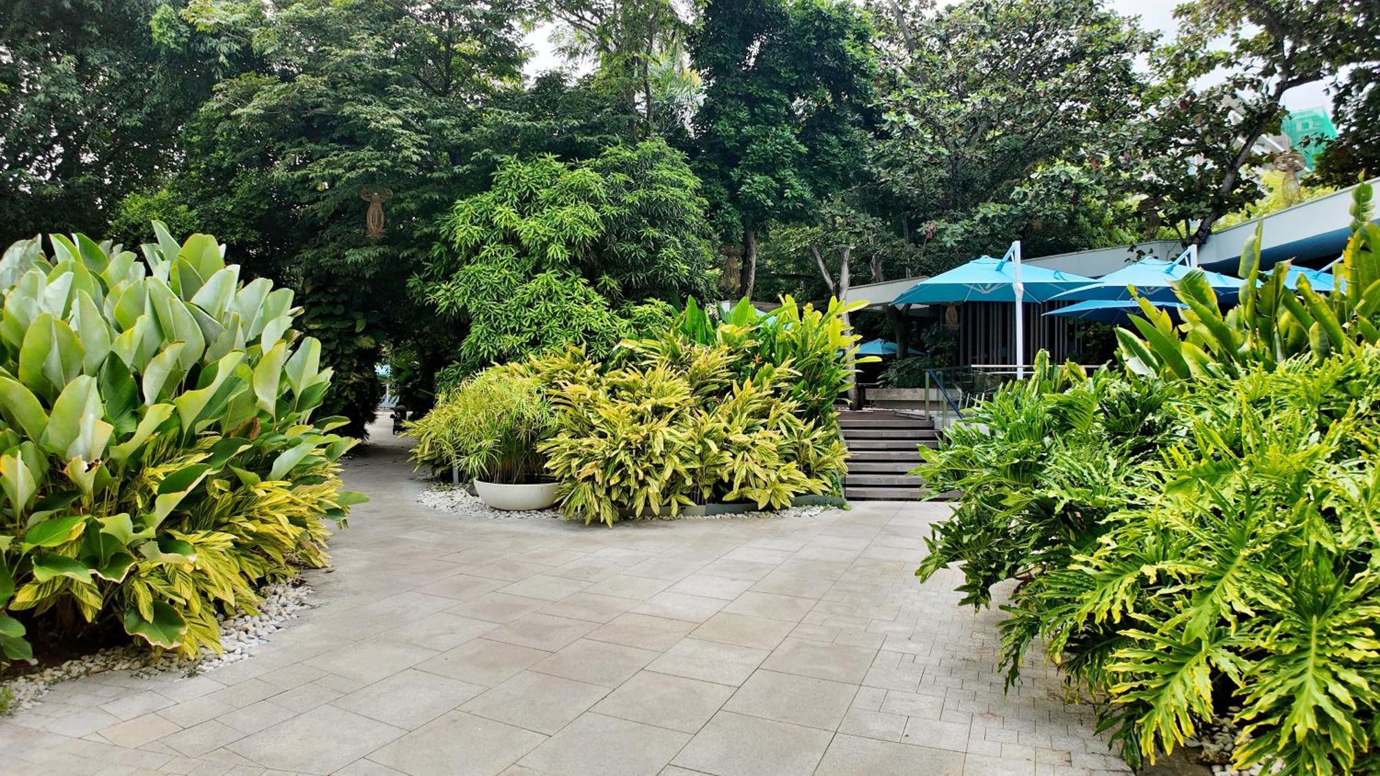 Dominiks Quite And Elegant Studio Ocean View Pool At Tambuli Resort High Floor Lapu-Lapu City Buitenkant foto